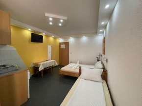 Vila Aleksandra